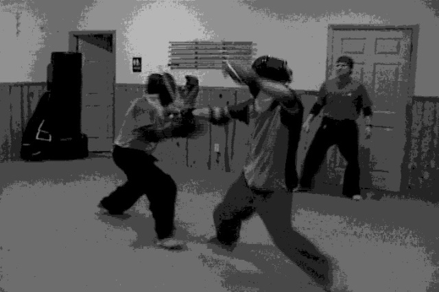 IRT Full Contact Stick Fighting With Fencing Masks Photo 1 For TIE